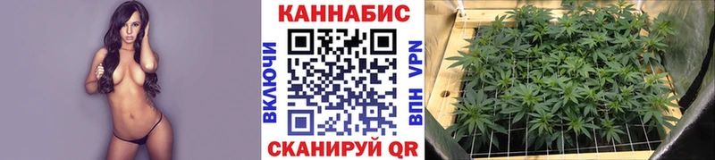 МАРИХУАНА Amnesia  Бирюч 